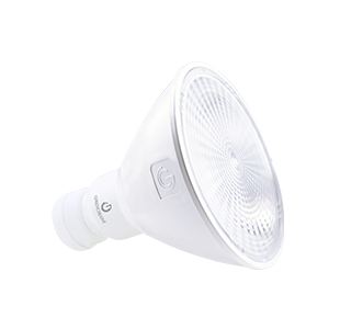 17PAR38DIM/927NF25/GU24