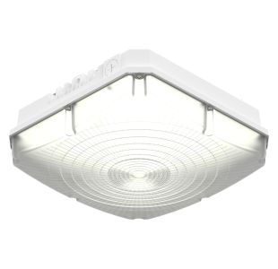 Value Square Canopy